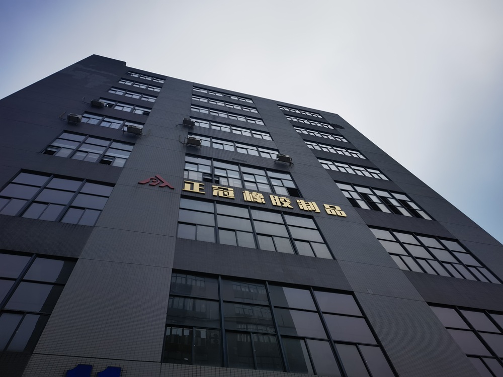 การลงทุนในความแม่นยำ: [zhengguan rubber] เปิดตัวห้องปฏิบัติการทดสอบยางและซิลิโคนขั้นสูง