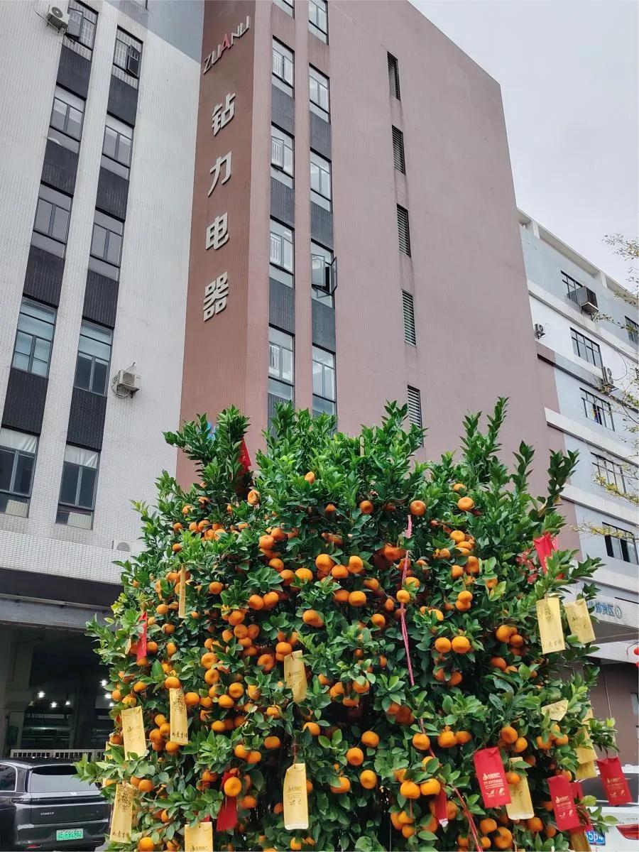 การจัดส่งครั้งแรกหลังตรุษจีน: ปั๊ม Reverse Osmosis แรงบิดสูงมุ่งหน้าสู่ตลาดต่างประเทศ - ปั๊ม zuanli ro!